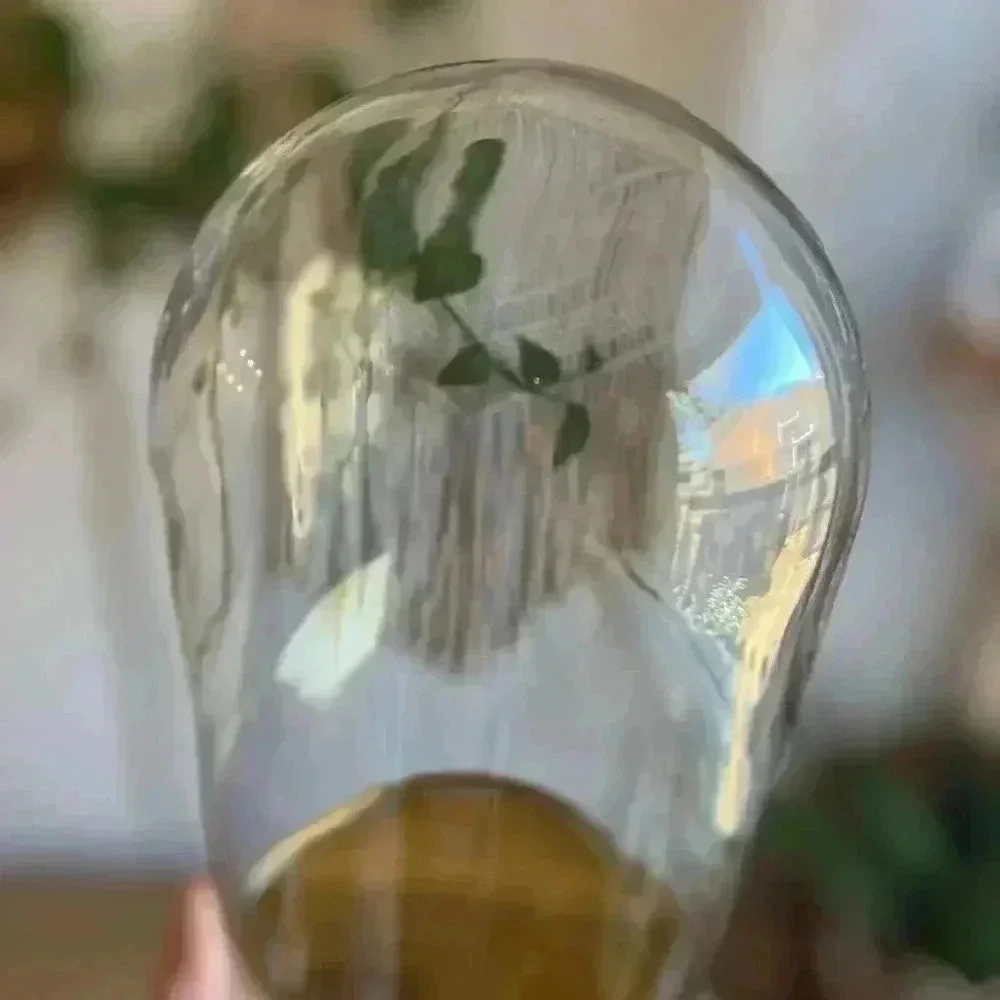 IKEA BEGÅVNING Glass Dome with Base – 10”